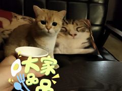 -咖法森林·咖啡  酒吧(天河店)