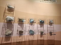 -陕西自然博物馆