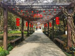 -白马涧龙池景区