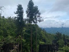 -梭布垭石林景区