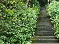 -萝卜潭瀑布群景区