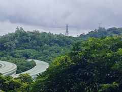 -深圳仙湖植物园