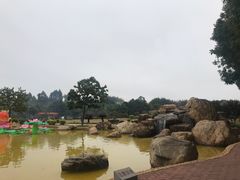 -广东圆玄道观