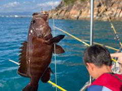 -小猫钓鱼海钓俱乐部(椰梦长廊店)
