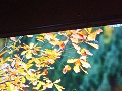 -魅KTV·AI辅唱(福雷德广场店)