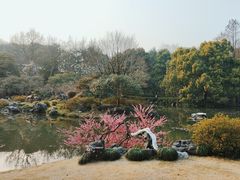 -杭州植物园