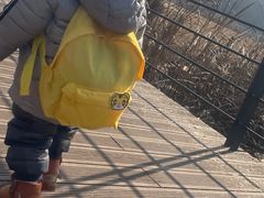 -盘龙城国家考古遗址公园