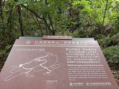 -九曜山