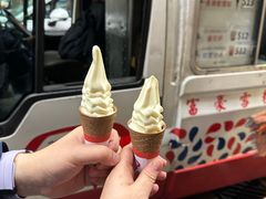 -富豪雪糕车流动点(尖沙咀店)