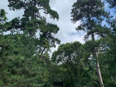 -沈阳市东陵公园