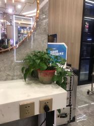 -Meng Lang 梦郎白金店