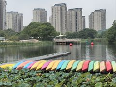 -新江湾城公园