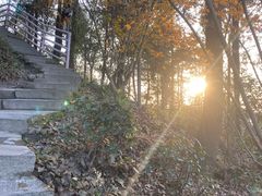 -大金鹰园