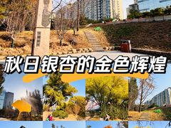 -元大都城垣遗址公园