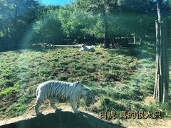 -大连森林动物园