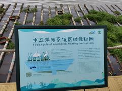 -华侨城湿地公园