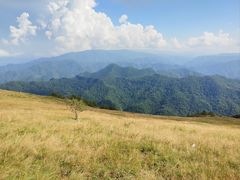 -秦岭风景区