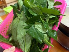 -15年老字号鑫鑫猪肚鸡·椰子鸡海南火锅(兴隆华侨农场店)