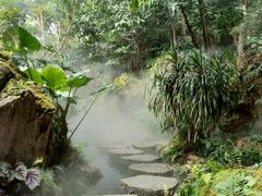 -深圳仙湖植物园