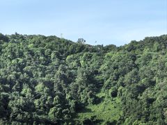 -惠山国家森林公园