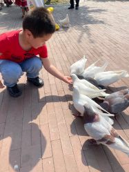-玄武湖景区-情侣园游乐场