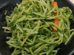 凉拌豆苗-老班长手工灌汤包(嘉洲广场店)