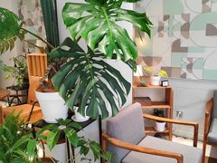 -一尺花园(安和花园店)