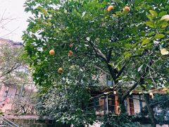 -乐领拈花溪·林涧食韵