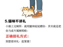 -瑞鹏宠物医院·骨外科·心肾科·肿瘤科(九亭店)