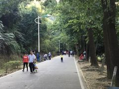 -风云岭森林公园