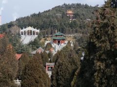 -鲁山国家森林公园