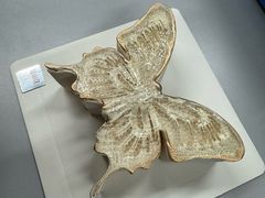 -沫小哚(半山御景店)