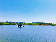 -大兴滨河森林公园