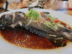 石斑鱼-竹林小屋(库塔店)