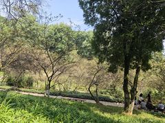 -南山植物园