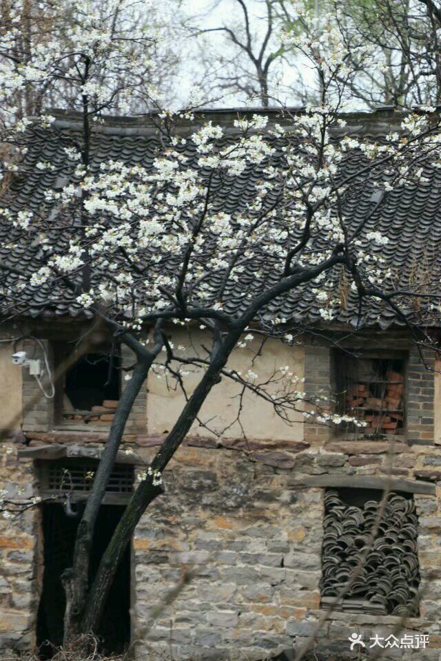 凤凰古村-图片-辉县市周边游-大众点评网