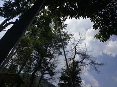 -赣州市章江游泳馆