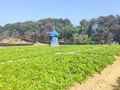 -广州市流溪河国家森林公园