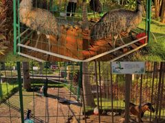 -西双版纳融创皇冠假日度假酒店