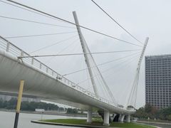 -映月湖中央公园