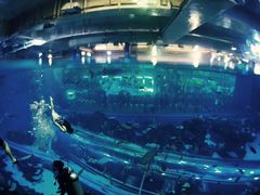 -成都浩海立方海洋公园