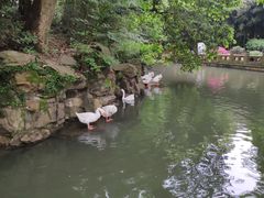 -兰亭风景区