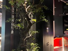 -苏淮景·苏闽融创菜·海鲜(原空港井河轩店)