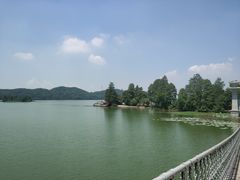 -东湖落雁景区