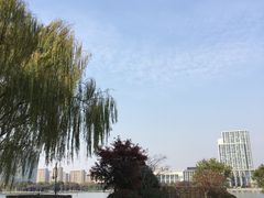 -尚贤河湿地