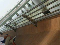 -演武大桥观景平台