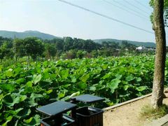 -韶山毛泽东同志故居