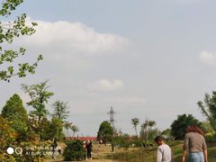 -龙潭水乡