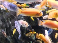 -太平洋海底世界