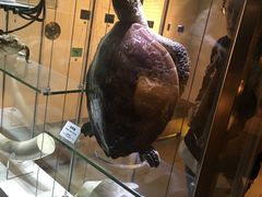 -香港科学馆